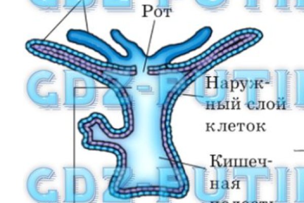 Ссылки зеркала на kraken