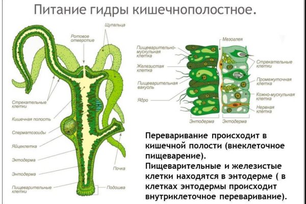 Как выйти на кракен