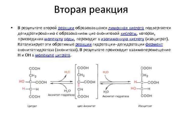 Kraken вход kraken torion